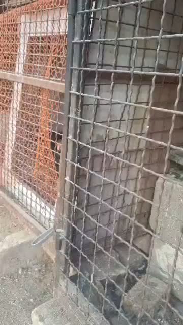 قفس مرغ خروس|لوازم جانبی حیوانات|شیراز, رکنآباد|دیوار