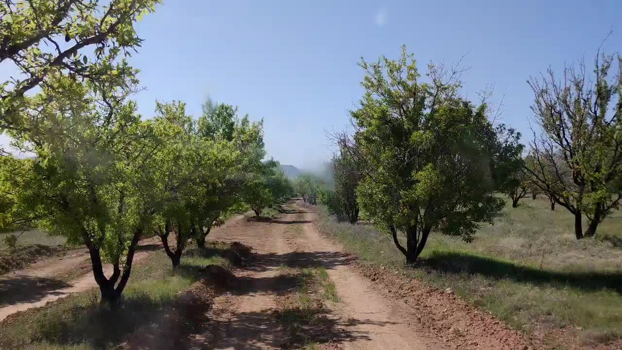 زمین 1000 متری باغ بادامی|فروش زمین و ملک کلنگی|شیراز, کودیان|دیوار