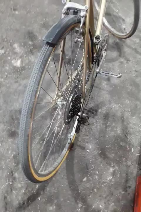 دوچرخه کورسی در حد نو|دوچرخه، اسکیت، اسکوتر|چهاردانگه (تهران), |دیوار