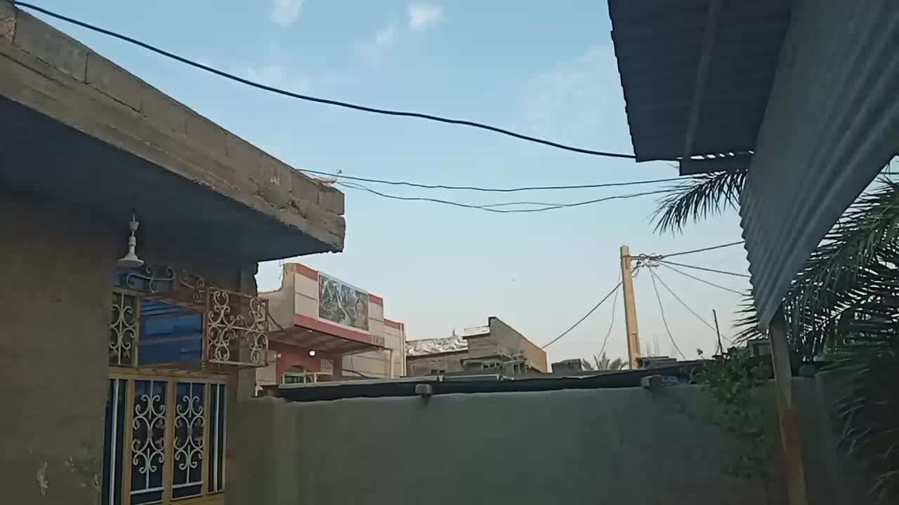 کبوتر گره|پرنده|قلعه قاضی, |دیوار