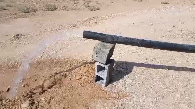 اجاره زمین کشاورزی  ۷ هکتار|اجارهٔ دفتر صنعتی، کشاورزی، تجاری|برازجان, |دیوار