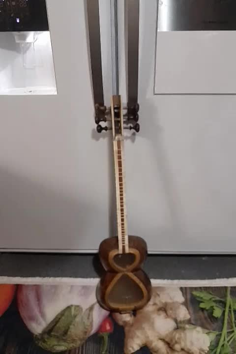 تارایرانی باصدای خوب|سازهای سنتی|تهران, فردوس|دیوار