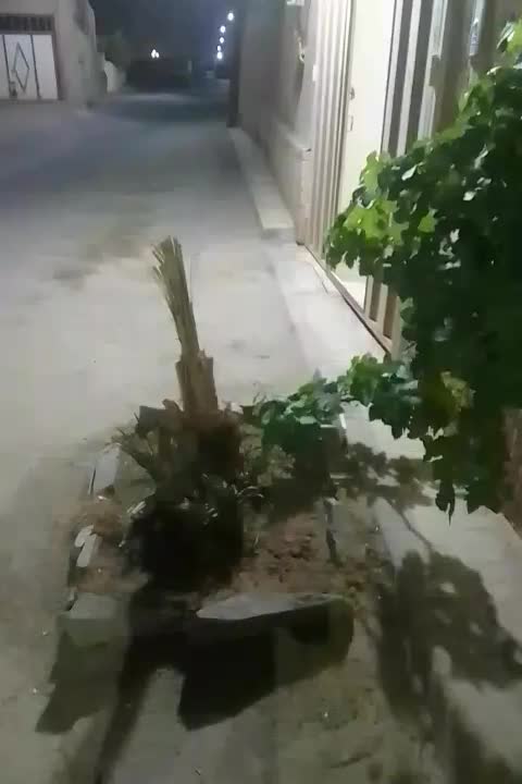 منزل مسکونی اجاره با رهن طبق فوقانی دربست کامل|اجارهٔ خانه و ویلا|یزد, |دیوار