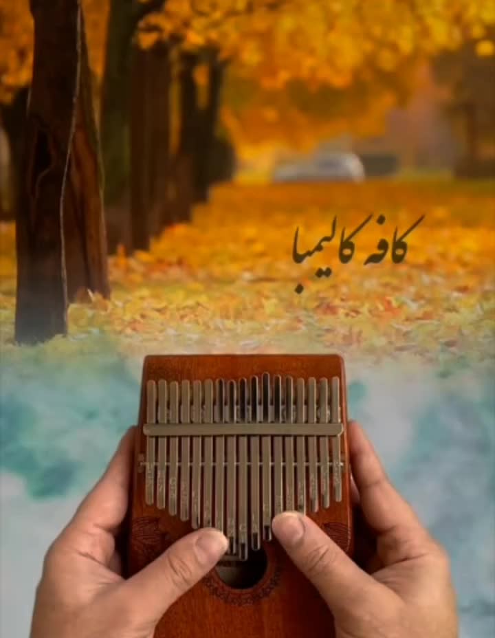 کالیمبا جکو 17تیغه|پیانو، کیبورد، آکاردئون|مشهد, شهرک رازی (شهرک غرب)|دیوار
