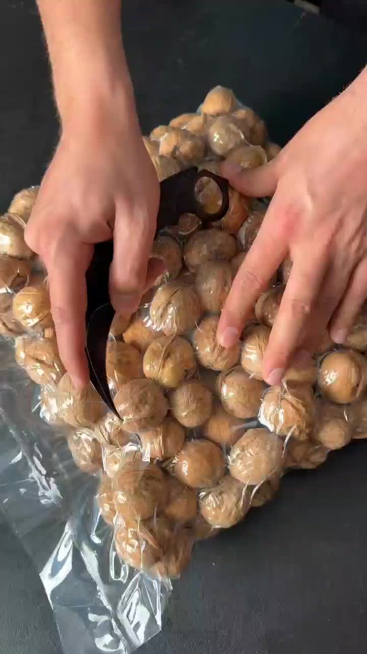 فروش قسطی نهال پسته انگور بادام دیرگل پسته خوشه ای|گل و گیاه طبیعی|نیشابور, دارایی|دیوار