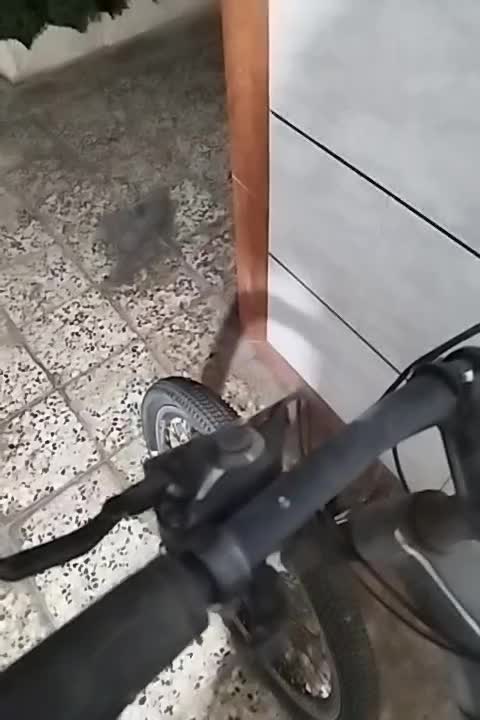 دوچرخه سایز ۲۶|دوچرخه، اسکیت، اسکوتر|نجفآباد, جلال آباد|دیوار