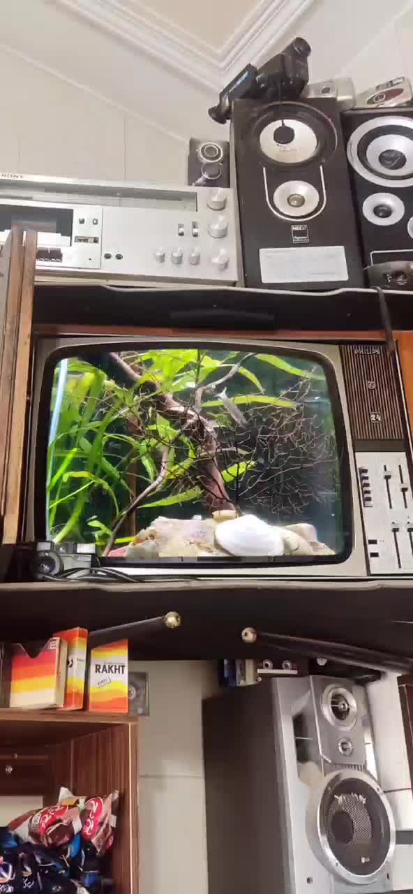 دکور اب نما اکواریوم مناسب مغازه خانه دفترکار|صنایع دستی و سایر لوازم تزئینی|شیراز, شهرک ولیعصر|دیوار