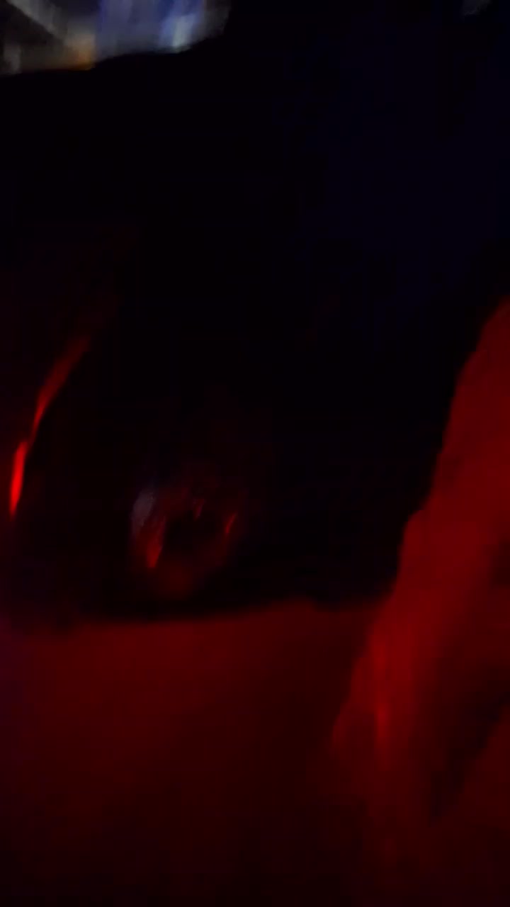 کامیون کاویان|خودرو سنگین|بردسیر, |دیوار