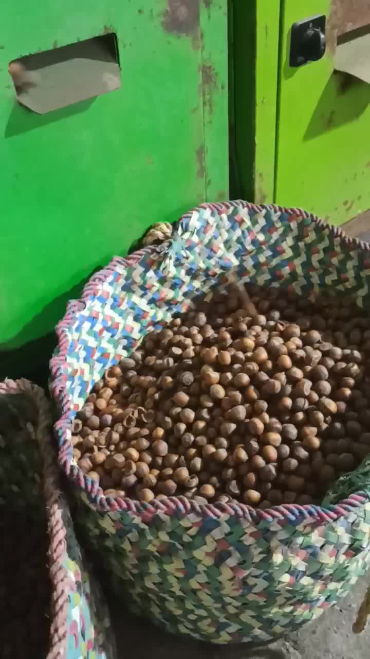 فروش فندق پاکسازی شده بدون خرابی و پوچی و سیاهی|خوردنی و آشامیدنی|رشت, بازار|دیوار