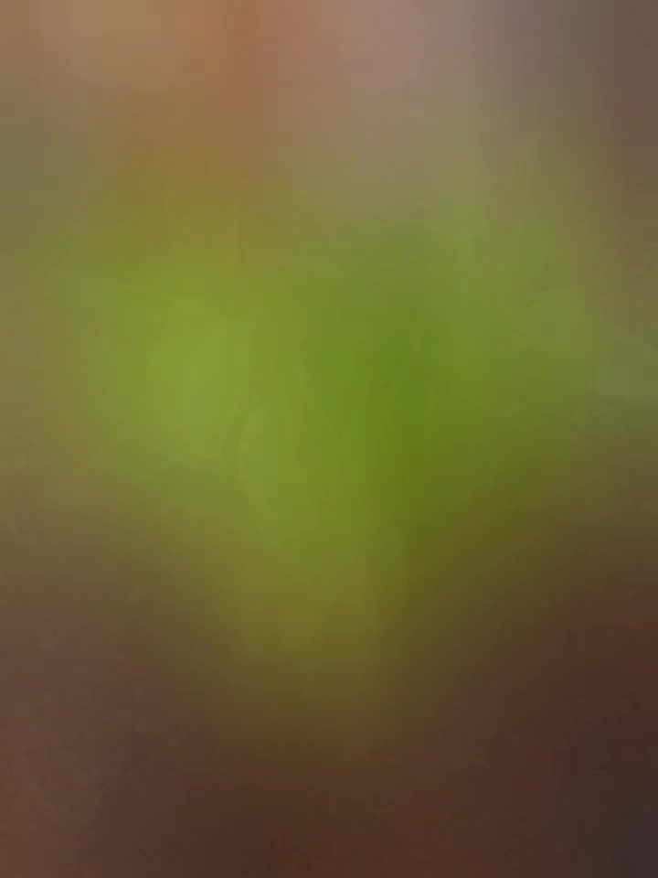 فیکوس ابلق|گل و گیاه طبیعی|گلپایگان, |دیوار