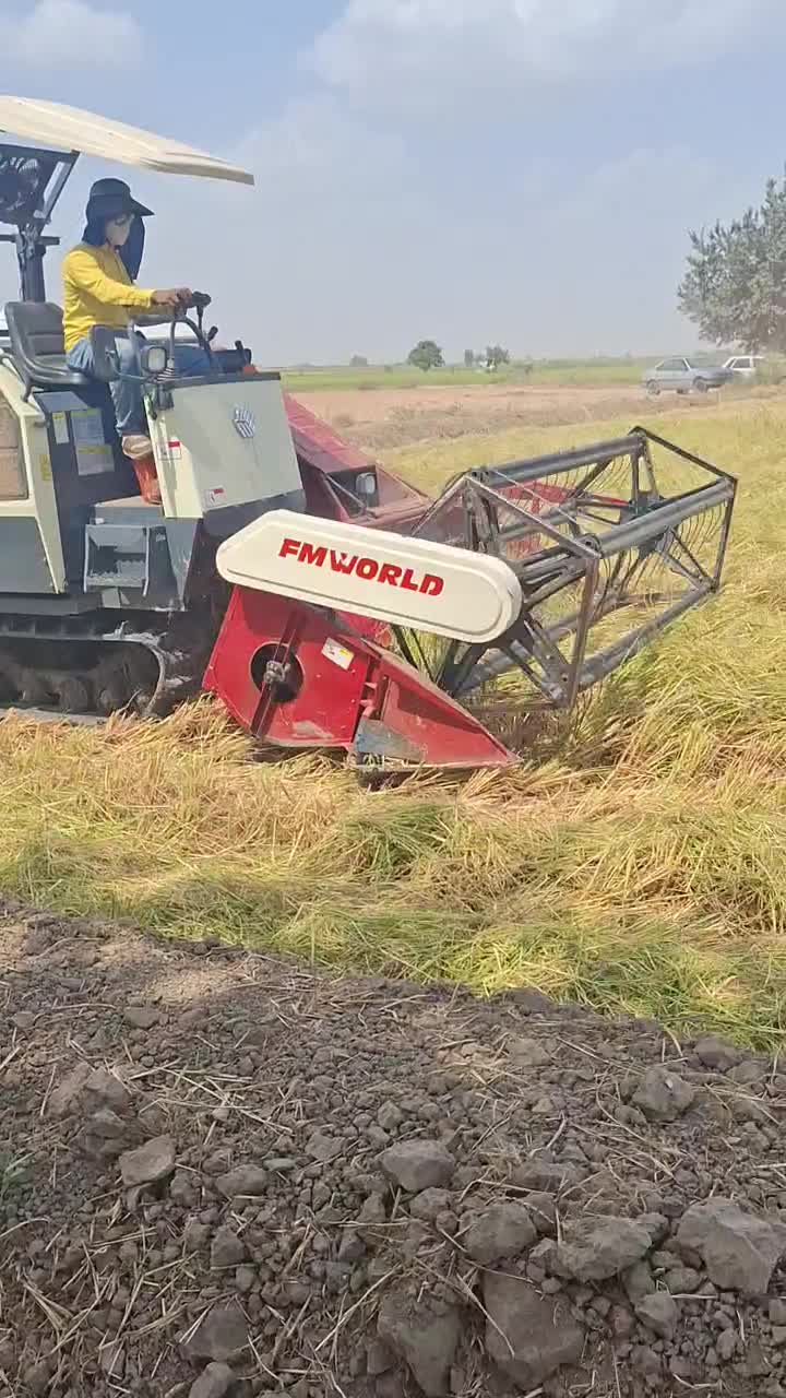 برنج طارم خوش طعم|عمده‌فروشی|سنگدوین, |دیوار