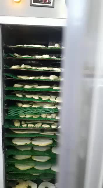 دستگاه اسلایسر میوه /خشک کن زعفران|ماشینآلات صنعتی|نیشابور, شریعتی|دیوار