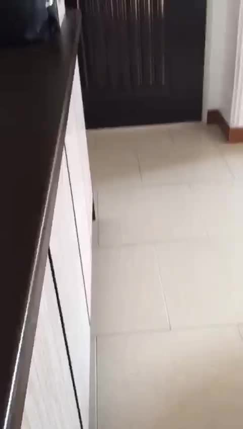 رهن آپارتمان تک واحدی ط دوم در ۱۶متری مرادزاده|اجارهٔ آپارتمان|قائمشهر, |دیوار