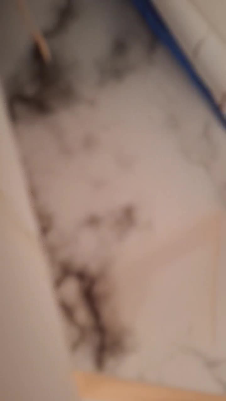 دسته گل ابی|گل مصنوعی|کرج, شهرک سهرابیه|دیوار