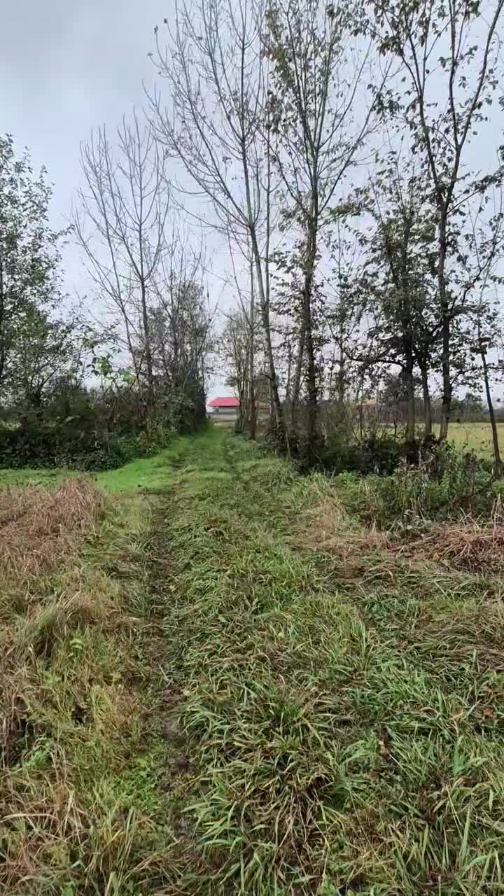 با ۹۷۰ میلیون از امروز شروع به ساخت کن+ امتیاز گاز|فروش زمین و ملک کلنگی|رشت, بازار|دیوار