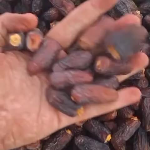 پخش عمده خرما استان کردستان به صورت مستقیم|خوردنی و آشامیدنی|سریش آباد, |دیوار