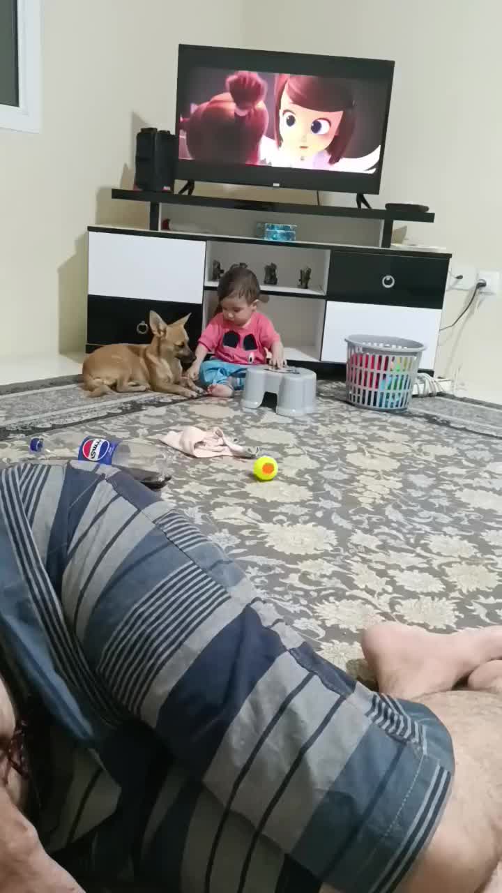 شیواوا روباهی|سگ|فردیس, شهرک شهید حسینی|دیوار