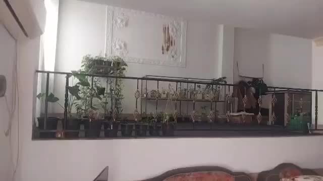 فروش خانه (ملک) ویلایی دوبلکس نیم پیلوت|فروش خانه و ویلا|بندر گز, |دیوار