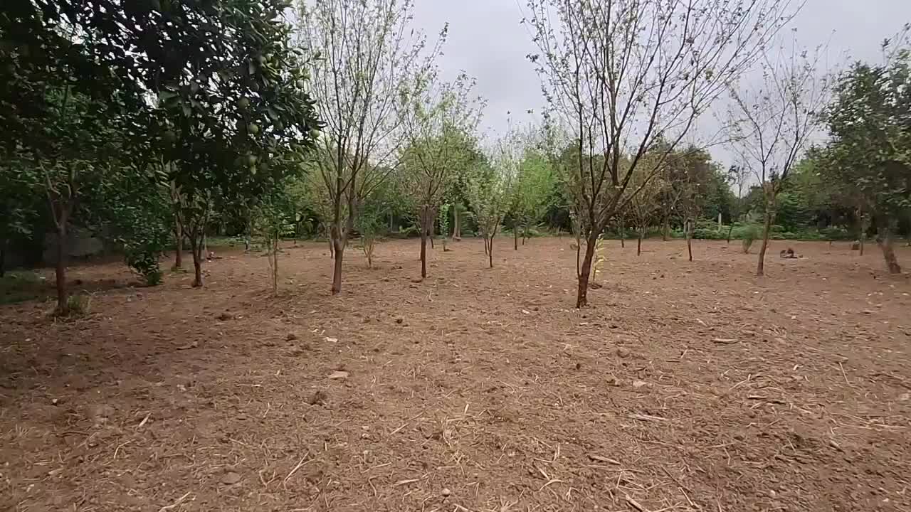 فروش زمین ۸۵۰ متری بابل روستای کشتلی میدان سر|فروش زمین و ملک کلنگی|گتاب, |دیوار