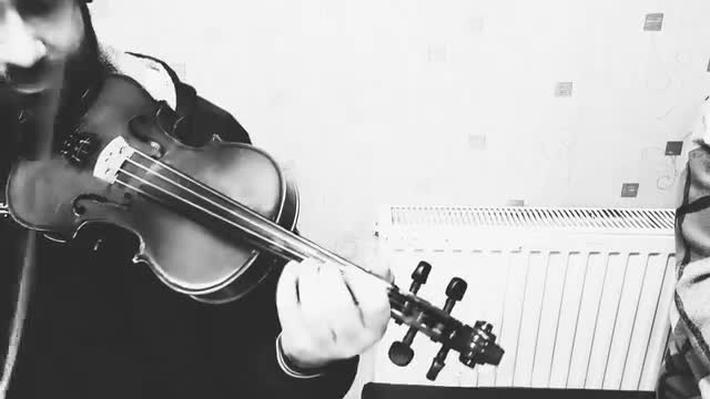 ویولن|ویولن|بروجرد, |دیوار