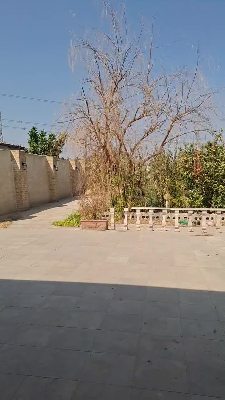 فروش باغ فول ،سندتک برگ،بهترین لوکیشن شهر|فروش خانه و ویلا|صباشهر, |دیوار