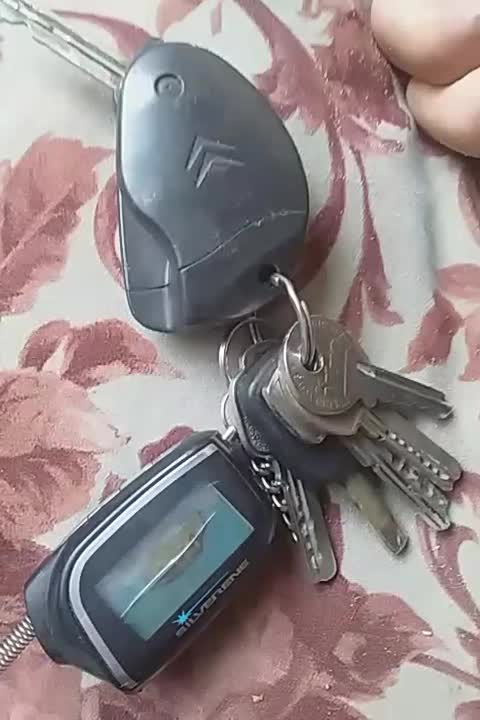 ریموت ودسته کلید به همراه سویج ماشین پیدا شده|اشیا|کرج, حصارک پایین|دیوار