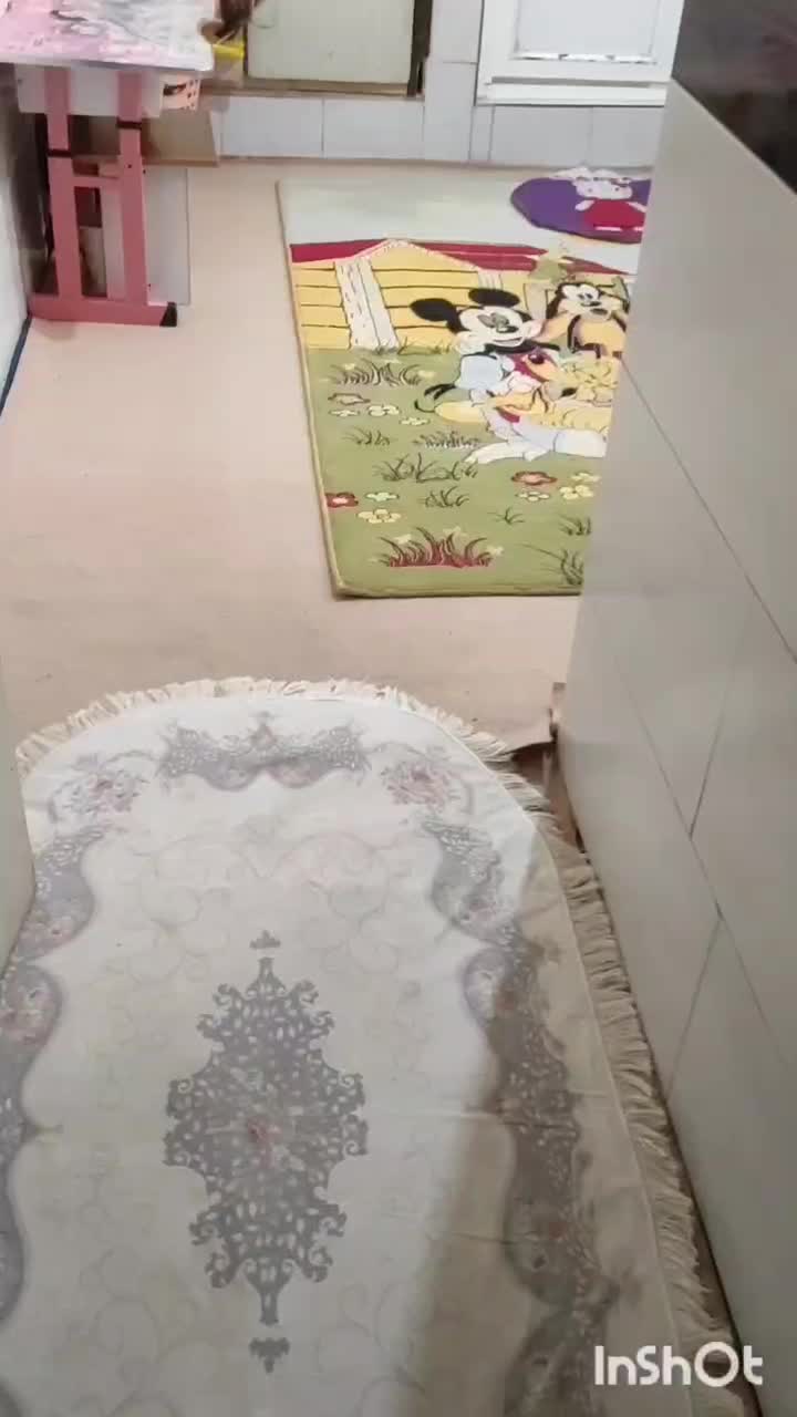 خونه طبقه دوم عروسک تیموراباد|اجارهٔ آپارتمان|تویسرکان, |دیوار