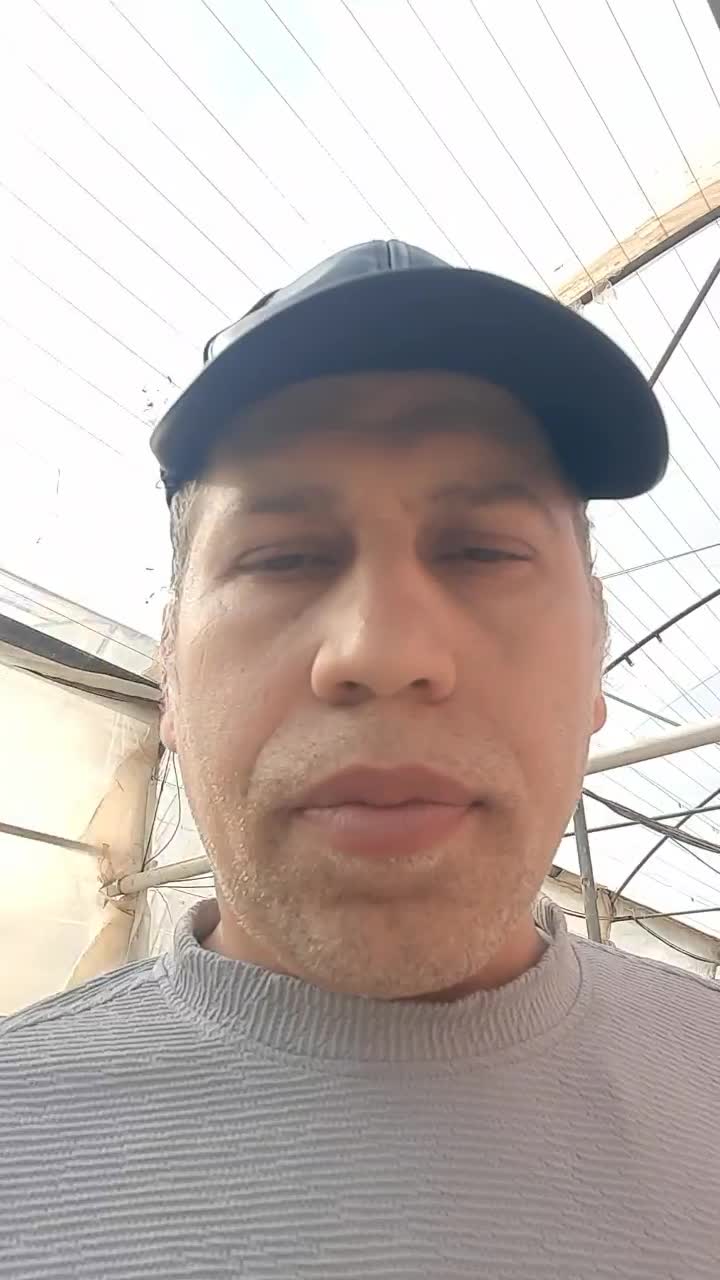 شریک و سرمایه گذار|مشارکت در ساخت املاک|تهران, دروازه شمیران|دیوار