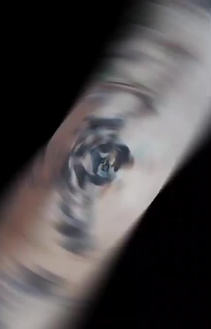 کبوتر|پرنده|شهرکرد, |دیوار