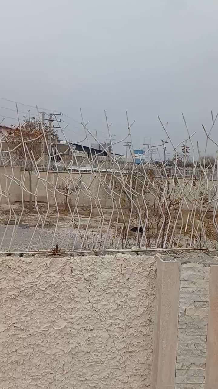 ۲قطعه زمین مجزا۲سند۶دانگ قطعی۴دیوارمجموع۲۰۰۱متر|فروش زمین و ملک کلنگی|وحیدیه, |دیوار