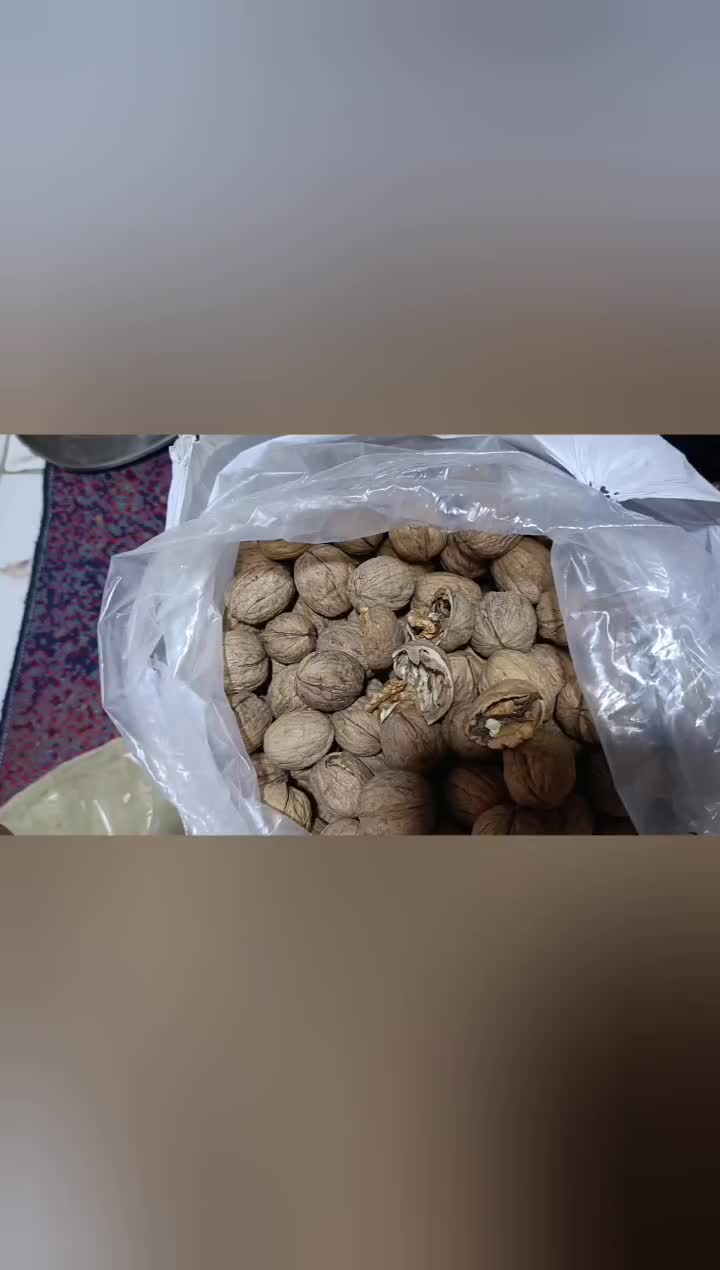 گردو امریکایی|خوردنی و آشامیدنی|اهواز, پردیس|دیوار