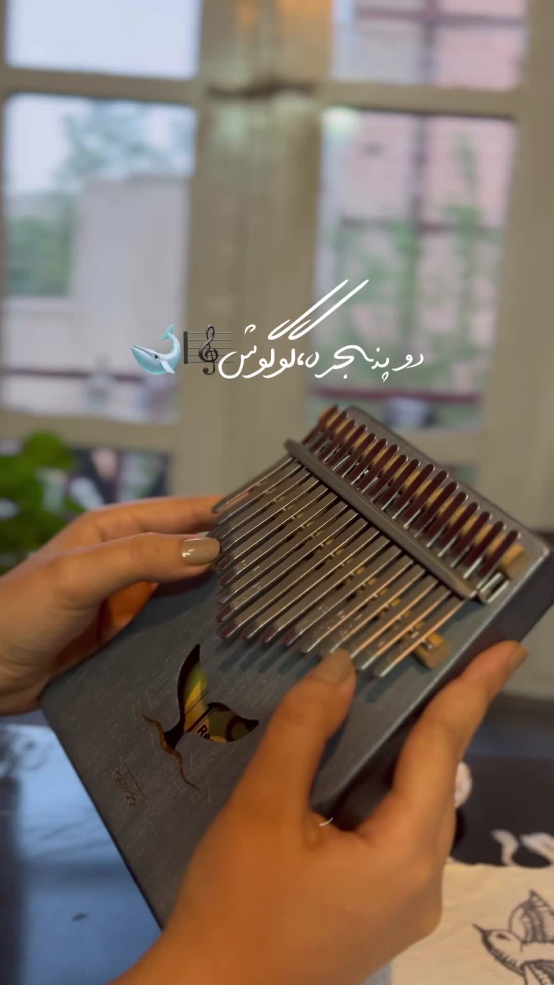 کالیمبا|گیتار، بیس، امپلیفایر|تهران, کوی نصر مهرآباد|دیوار