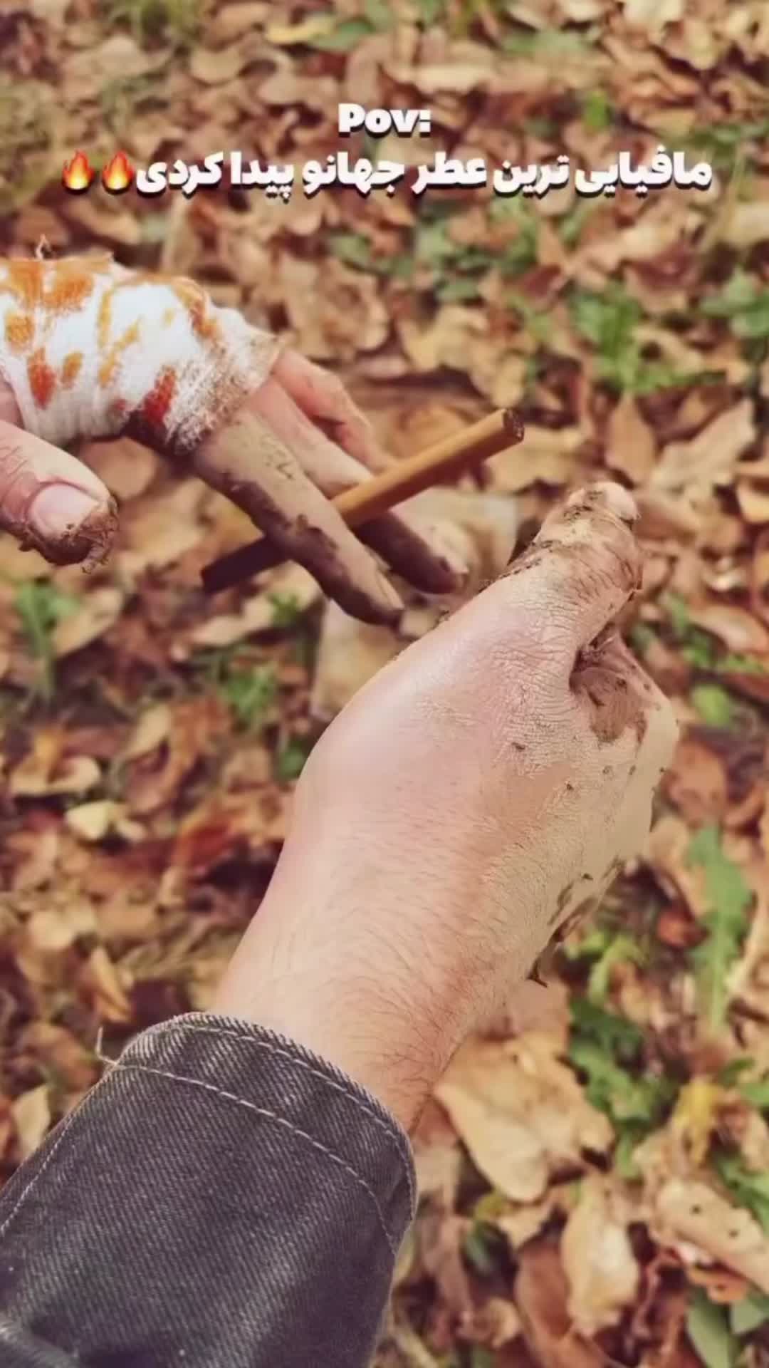 عطر برندینی ۳۳ میل  کوچک ولی فوق‌العاده باکیفیت|آرایشی، بهداشتی، درمانی|شیراز, ملاصدرا|دیوار