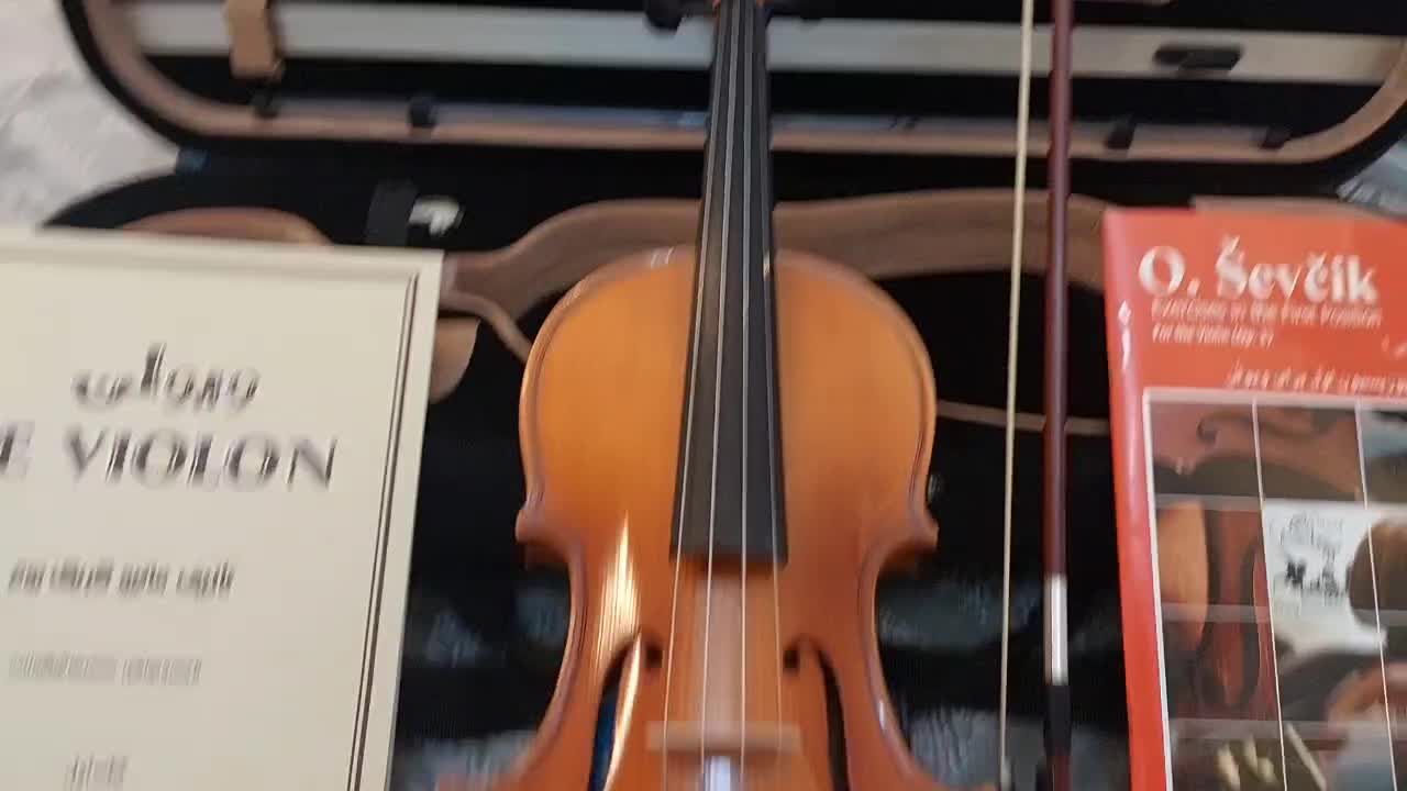 ویولن تی اف ۱۴۶ کاملا نو|ویولن|تهران, تهران‌نو|دیوار