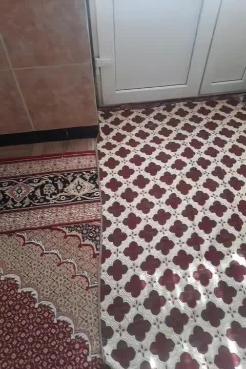 نیسان موتورz72|خودرو سواری و وانت|همدان, |دیوار