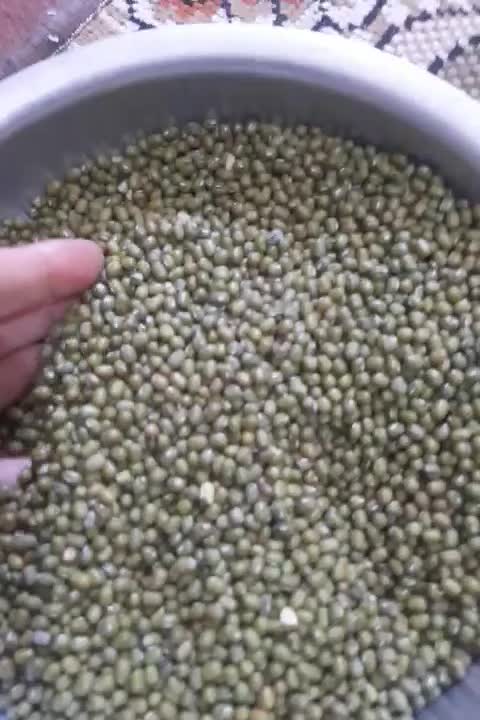 ماشک|خوردنی و آشامیدنی|چرام, |دیوار