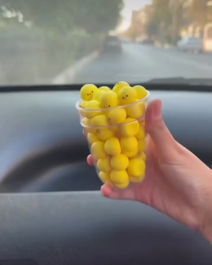 تخفیف فوق العاده بلک فرایدی شروع شد|حراج|مشهد, شهرک رازی (شهرک غرب)|دیوار