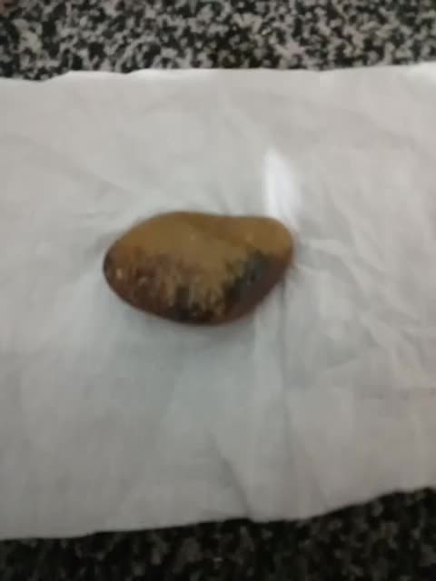 حجر شجر خام اصل|کلکسیون اشیاء عتیقه|شوش, |دیوار