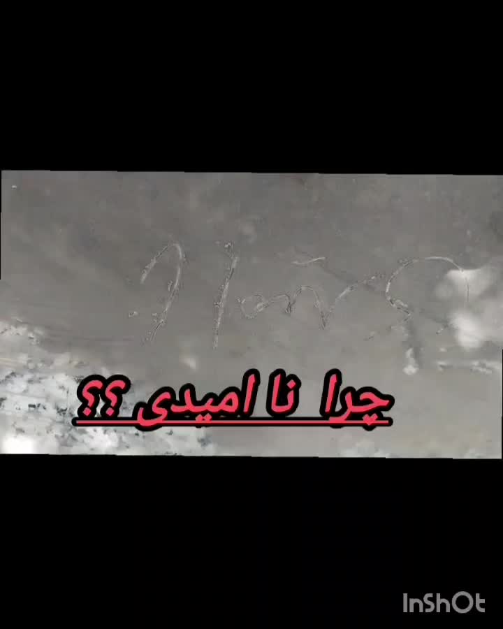 خبرمهم مهم|مواد شوینده و دستمال کاغذی|اسلامآباد غرب, |دیوار