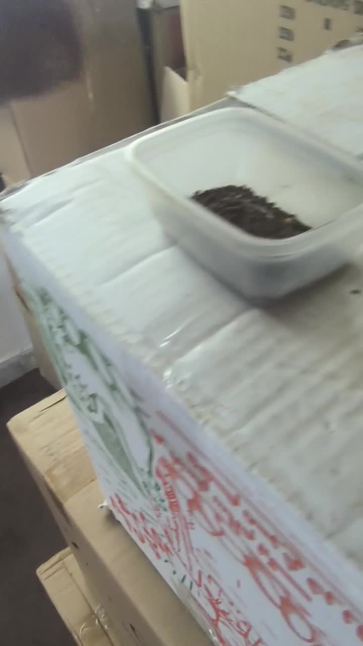 ماهی فلاور جفت خورده تخم ریز|ماهی|تهران, خانی آباد نو جنوبی|دیوار