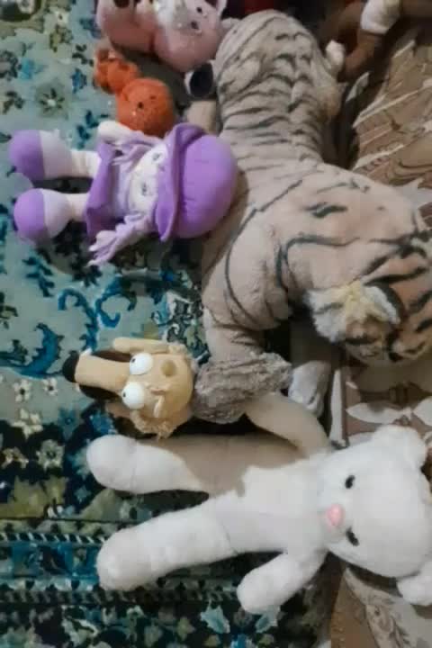 تعدادی عروسک درحدنو|اسباب و اثاث بچه|مسجد سلیمان, |دیوار