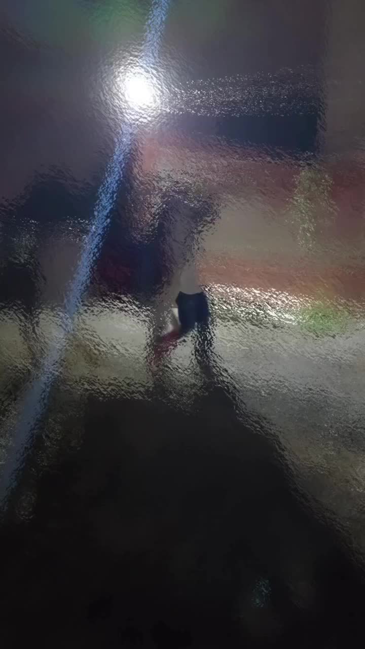 نریان کرد|اسب و تجهیزات اسب‌سواری|میاندوآب, |دیوار