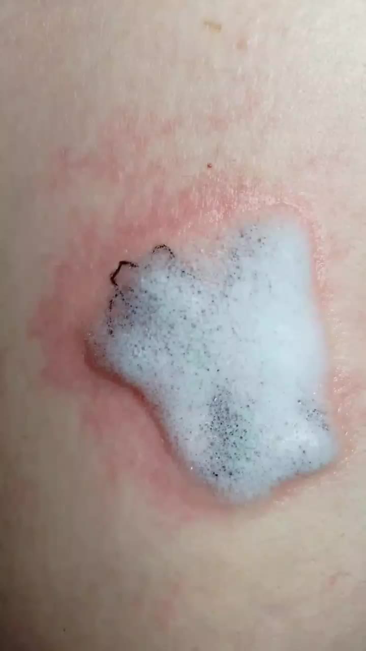 تخفیف ویژه خدمات تتو،ریموو،مژه هیدن،سوراخ کردن گوش|خدمات آرایشگری و زیبایی|رشت, حمیدیان|دیوار