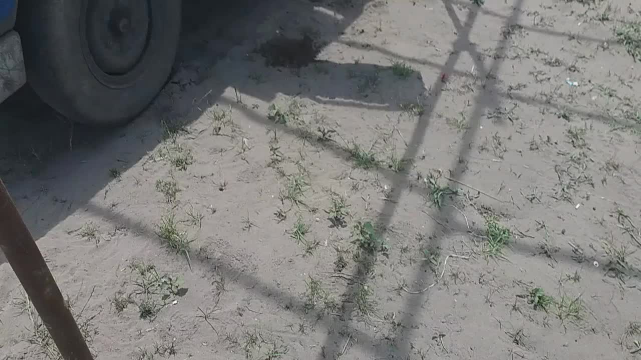 نصب ایزوگام و داربست سقف نما کفراژ خشکی مجالس بنر|خدمات پیشه و مهارت|شلمان, |دیوار