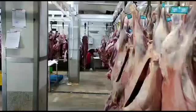 عمده فروش گوشت تیکه اقتصادی گوسفندی قلوگاه دنبه|خوردنی و آشامیدنی|اصفهان, ارغوانیه|دیوار