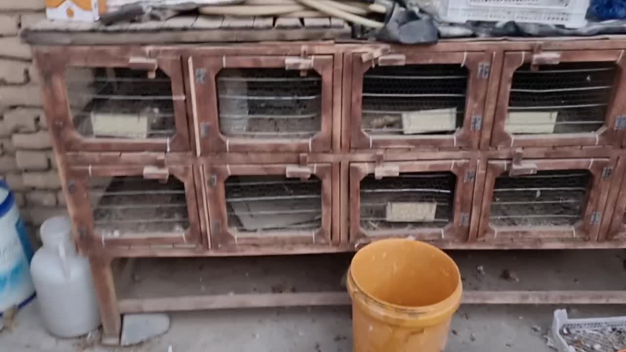 جفت کن ، قفس|لوازم جانبی حیوانات|شاهرود, |دیوار