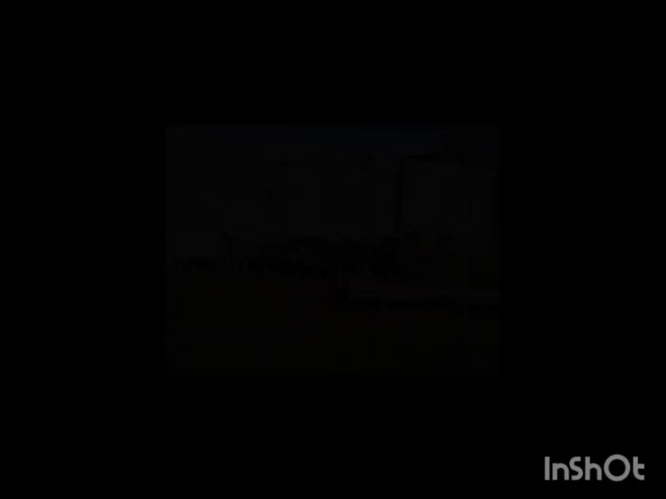 بره ماده افشار کبود روزگاری بره قوچ بزغاله نربز|حیوانات مزرعه|رودهن, |دیوار