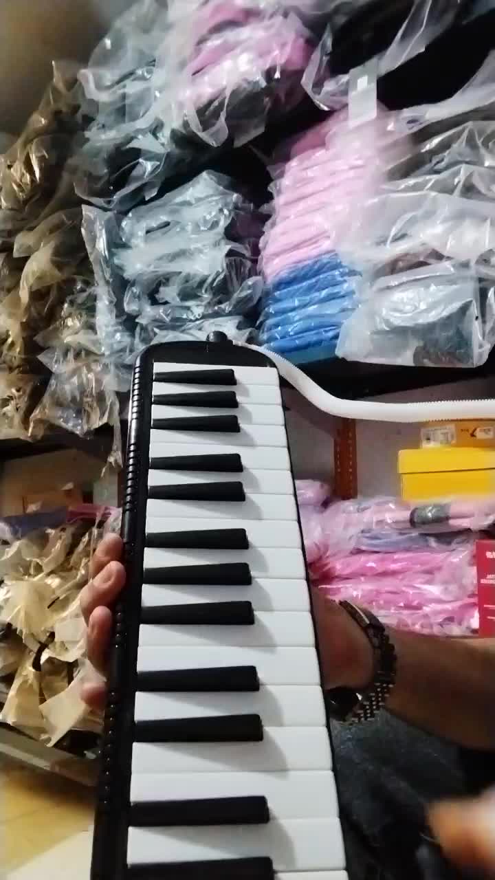 ملودیکا ، برند ملودی پیانو|پیانو، کیبورد، آکاردئون|رشت, حاجی آباد|دیوار