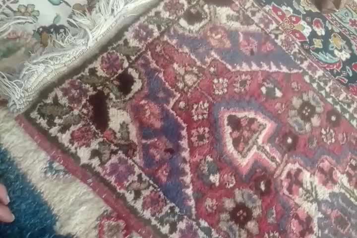 قالیچه دستباف قدیمی|فرش|فولادشهر, A2|دیوار