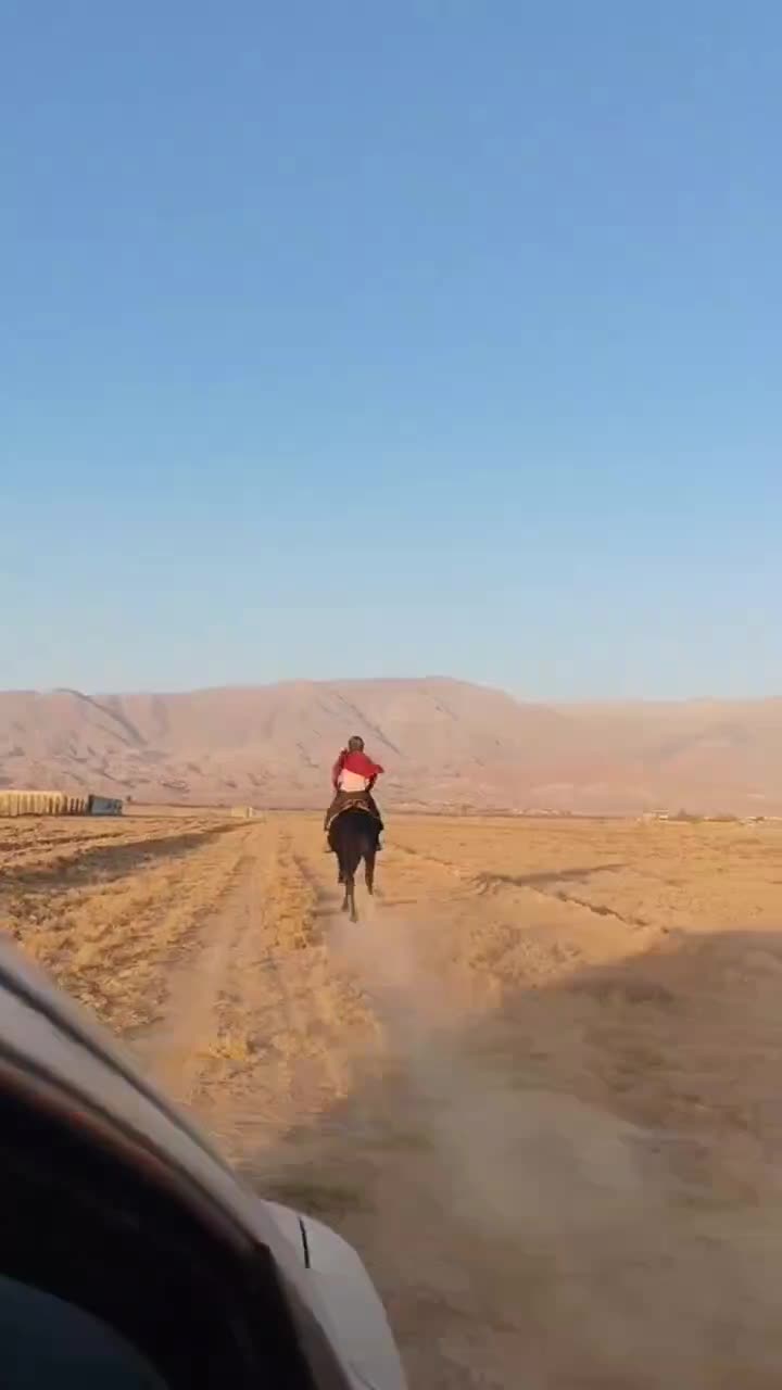 تروبرد خوش اخلاق|اسب و تجهیزات اسبسواری|مشهد, فرهنگ|دیوار